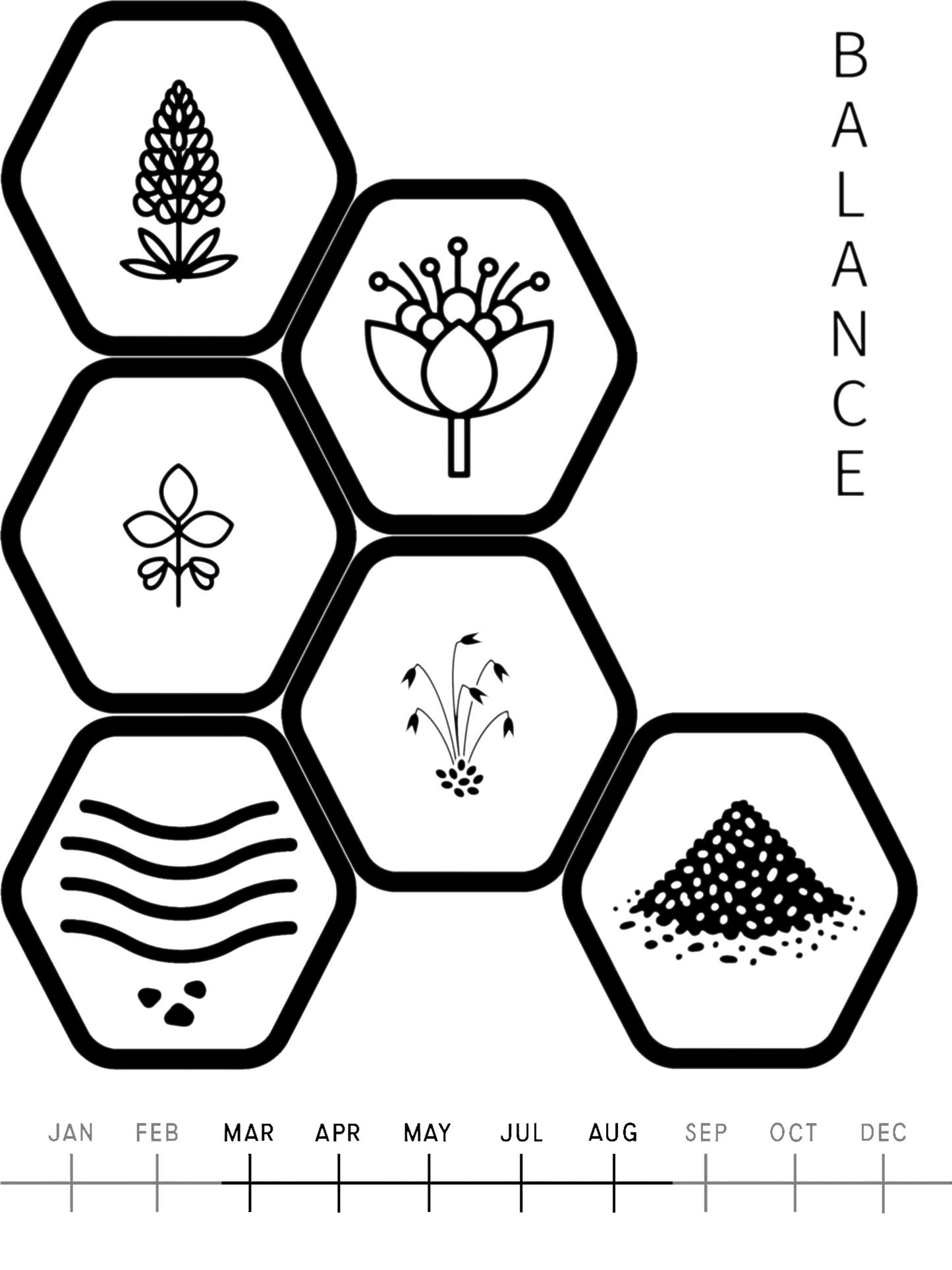 Soil Improvement Mix  Balance                             2kg                              Art. Nr. 100200