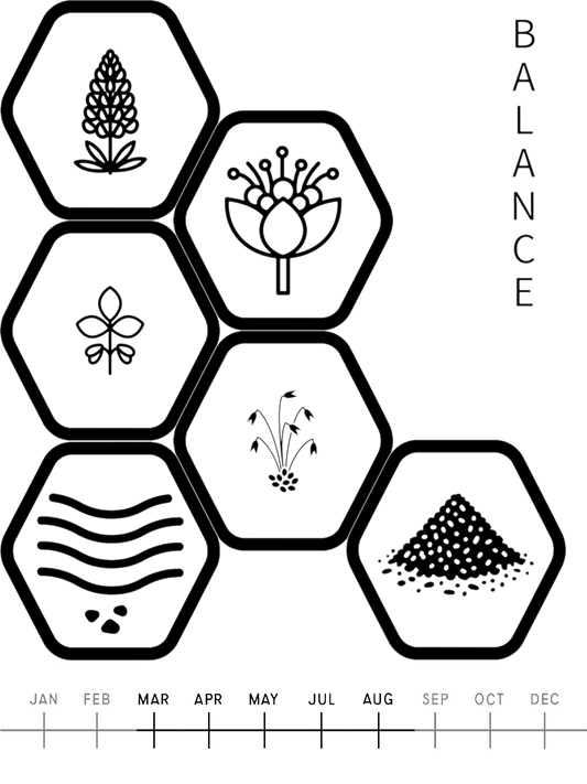 Soil Improvement Mix  Balance                             1kg                               Art. Nr. 100100