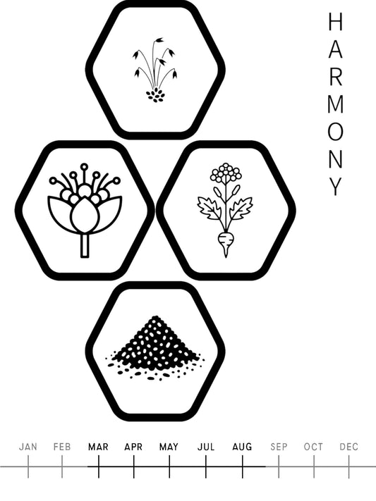 Soil Improvement Mix  Harmony                            1kg                             Art. Nr. 200100